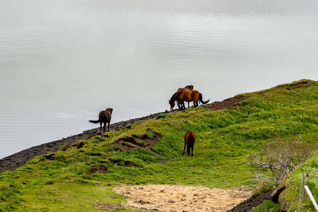 0312024_iceland